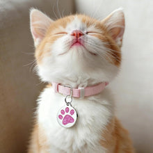 Load image into Gallery viewer, EDSG Glitter Paw ID Tag for Puppy Cat (Purple-Round, S)