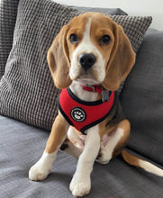 Load image into Gallery viewer, Dog Pet Puppy Harness Waterproof Mesh Fabric - EDSG