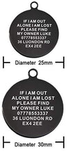 Load image into Gallery viewer, Dog Tags Personalised Name Engraved Stainless Steel Cat Pet Tags
