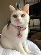 Load image into Gallery viewer, Personalised Bling Dog Cat Collars with Name UK - EDSG
