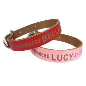 Personalised Engraved Leather Dog Collar UK - EDSG